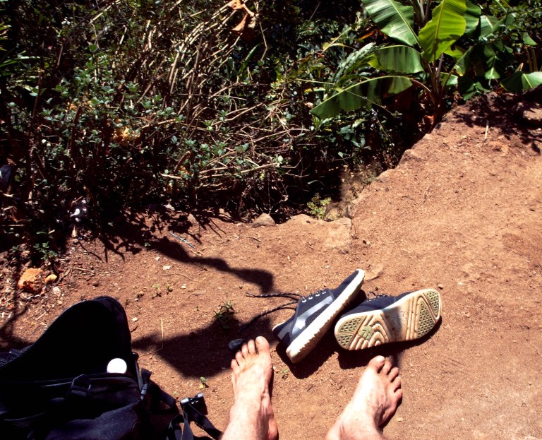 The Product of Boardom - Etnies Scout review weartest