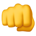 pěst